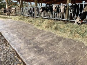 barn wood plank concrete floors for horse barns or show barns