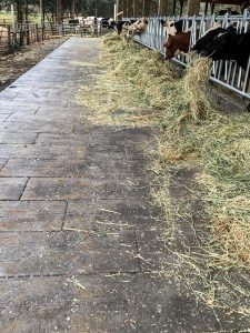 barn wood plank concrete floors