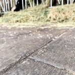 barn wood plank concrete for barns