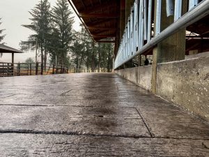 decorative concrete wood planks