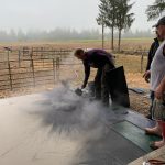 OCF stamped concrete