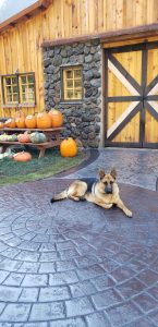concrete stamped outdoor space