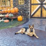 concrete stamped outdoor space
