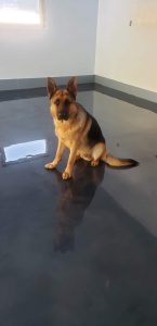 reflector enhanced epoxy garage floors