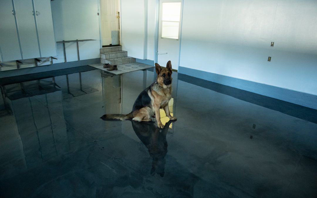 Reflector enhanced epoxy garage floor.