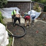 decorative stamped concrete