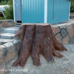 concrete tree stump 