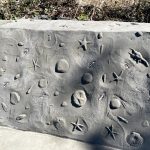 stamped concrete with shells
