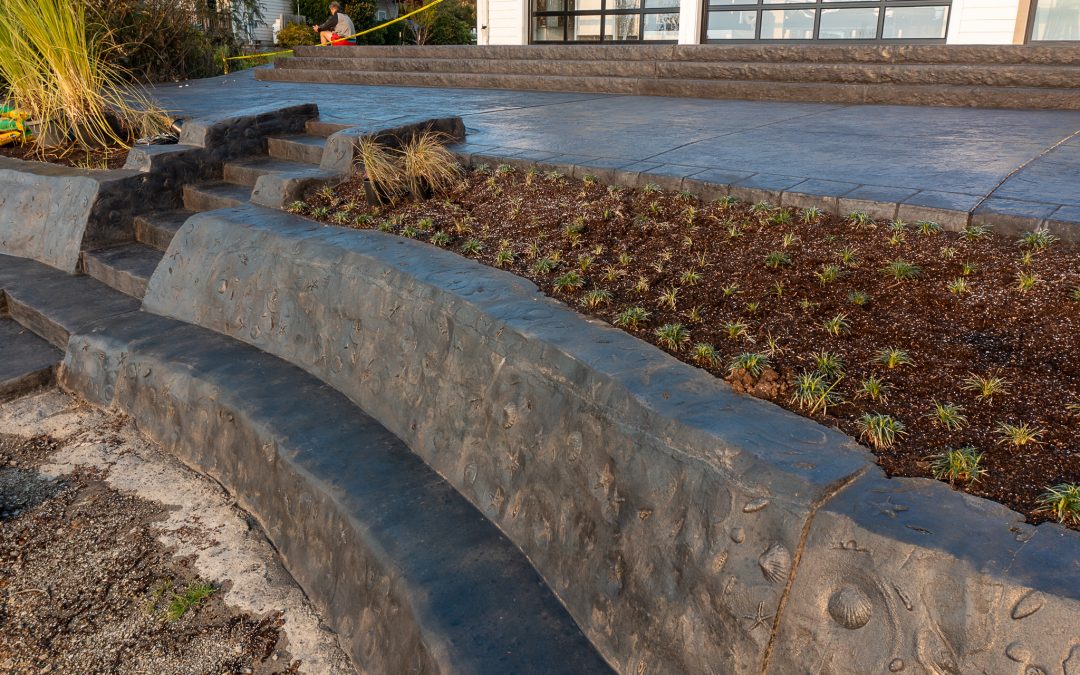 Concrete Seawall & Concrete Retaining Wall stamped with Sea shells