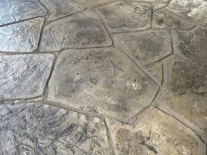 decorative concrete floors