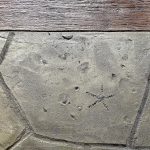stamped concrete floors