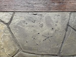 stamped concrete floors