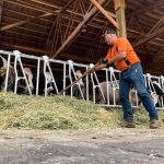 outdoor barn flooring