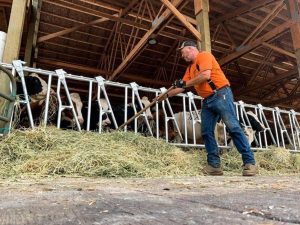 outdoor barn flooring