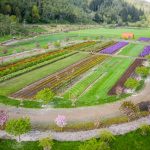 flower farms on the oregon coast