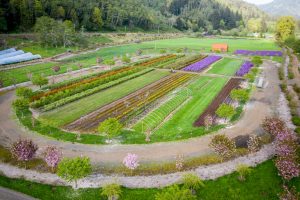 flower farms on the oregon coast