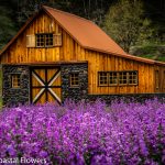 lunaria cherry