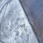 flagstone sidewalk