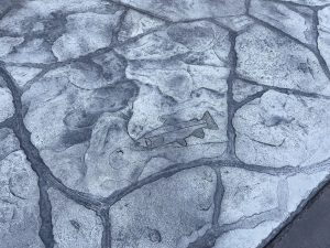 flagstone sidewalk