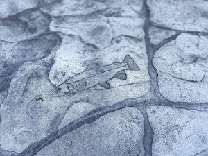 flagstone sidewalk