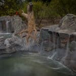 water feature waterfalls hardscaping northwest oregon