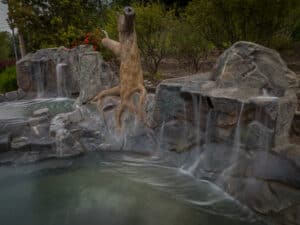 water feature waterfalls hardscaping northwest oregon