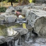 water feature waterfalls hardscaping northwest oregon