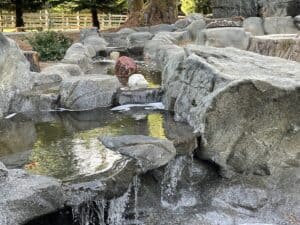 water feature waterfalls hardscaping northwest oregon
