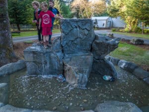 water feature waterfalls hardscaping northwest oregon