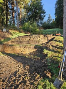 formless concrete retaining wall & hardscaping natural stone concrete