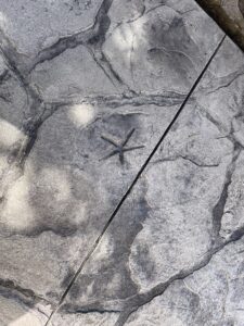 flagstone patio seascape border random stone wall