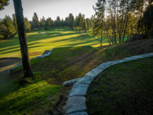 formless concrete retaining wall & hardscaping natural stone concrete