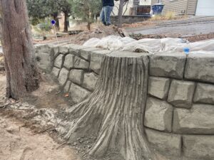 concrete flood & retaining wall
