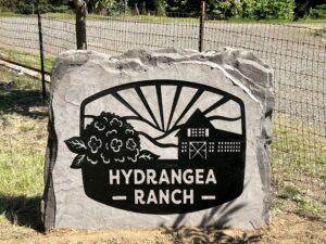 concrete engraved sign