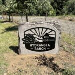 concrete engraved sign