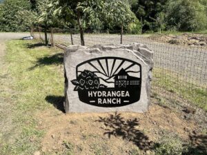 concrete engraved sign