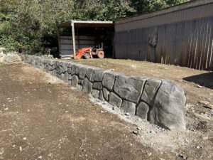 concrete flood & retaining wall