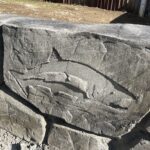 concrete flood & retaining wall