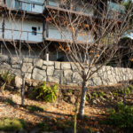 concrete retaining wall